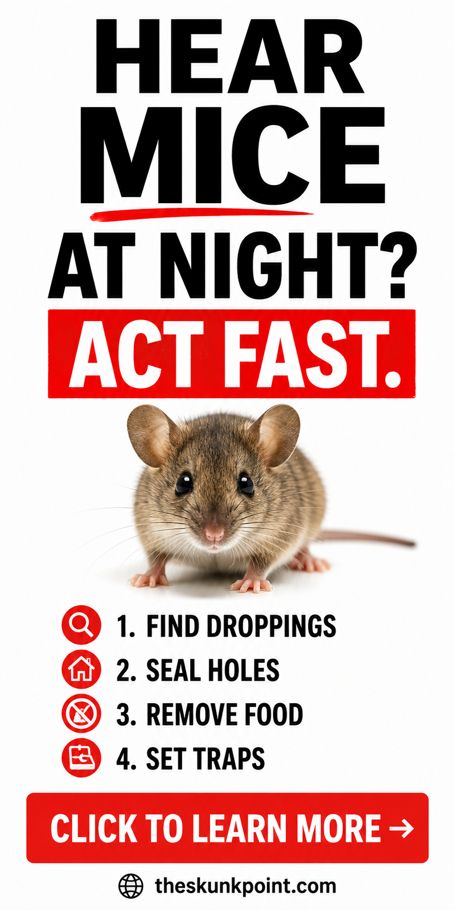 HEARING MICE AT NIGHT? 10 SIGNS YOU MAY HAVE MICE IN YOUR HOME